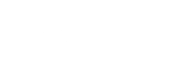 Fashion Feins